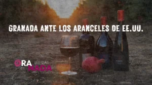 Aranceles de EE.UU. al vino europeo: consecuencias para el comercio de bebidas y el ecosistema mayorista en Granada